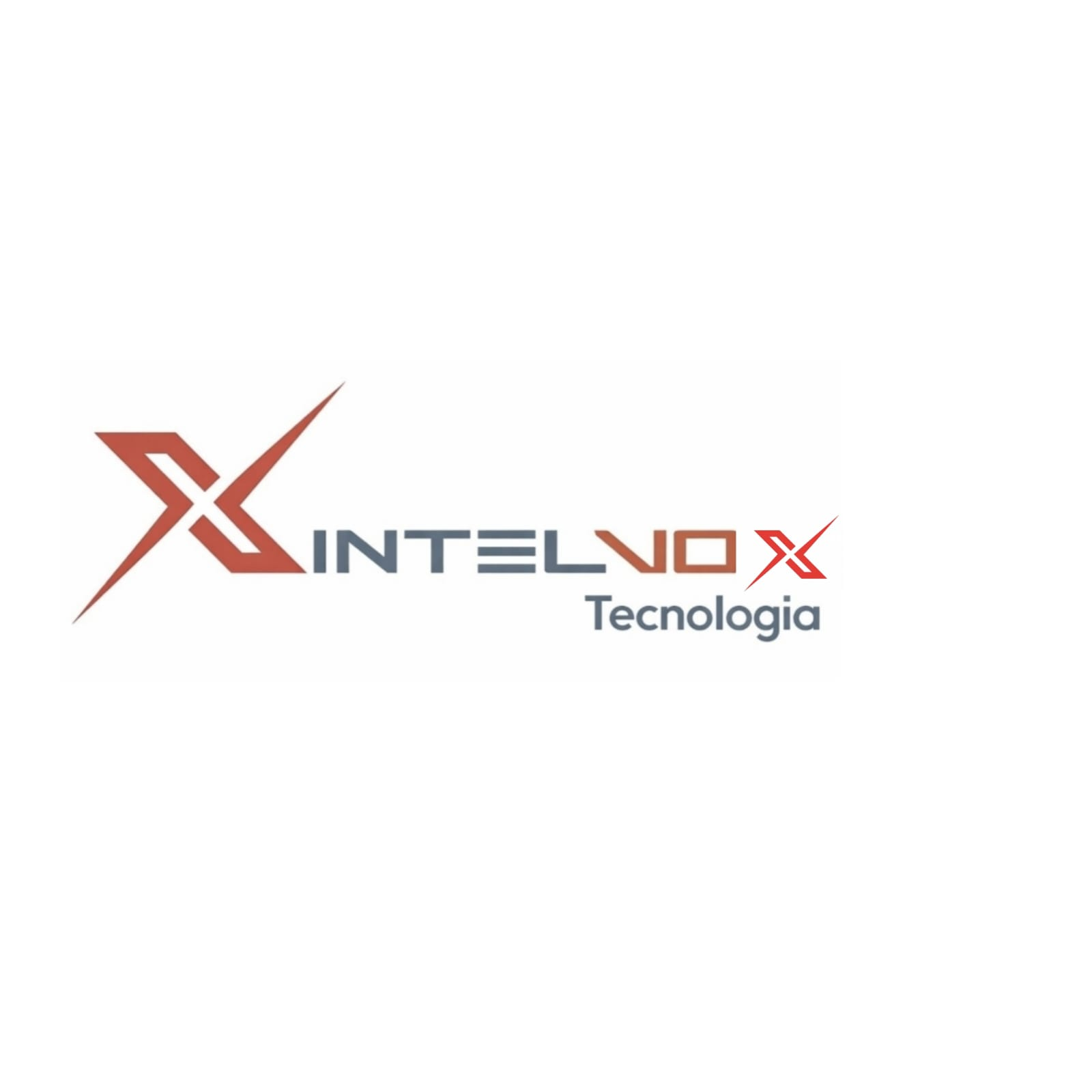Intelvox Tecnologia